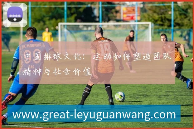 中国排球文化：运动如何塑造团队精神与社会价值